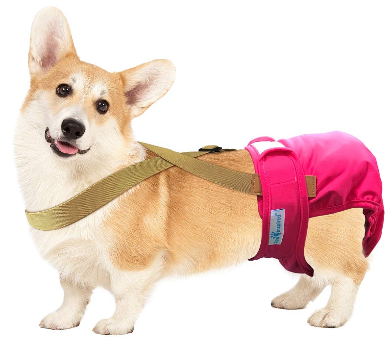 Paw Inspired Dog Diaper Suspenders with Velcro Fasteners | Stretchy Adjustable Suspenders for Female and Male Disposable and Washable Diapers | Fits Small, Medium and Large Size Pets (S/M, Brown) - Image 2